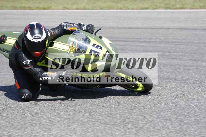 /46 11.08.2025 PADDYS-RACES-DAYS ADR/Sport-Profi/36